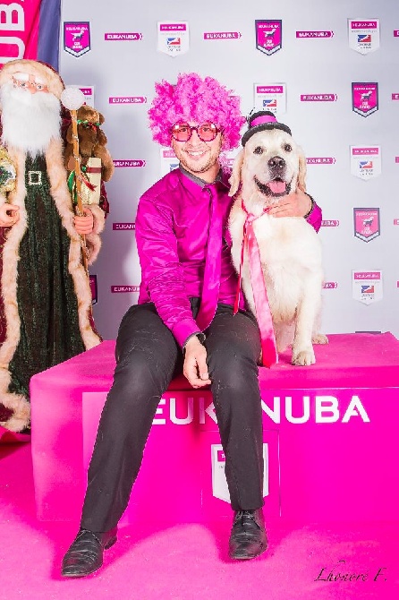 Of Breizh Golden Star - Pink Party à l'exposition de Nantes avec Eukanuba