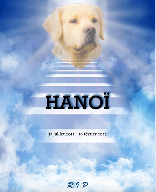 Of Breizh Golden Star - Le départ d'Hanoï